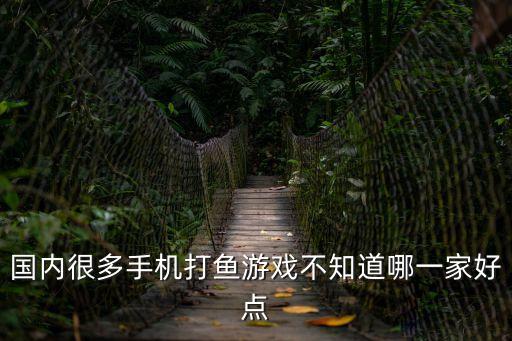 國內(nèi)很多手機打魚游戲不知道哪一家好點