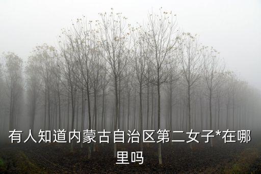 有人知道內(nèi)蒙古自治區(qū)第二女子*在哪里嗎