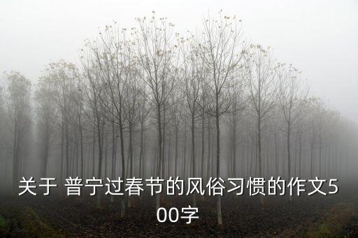 普寧煙花