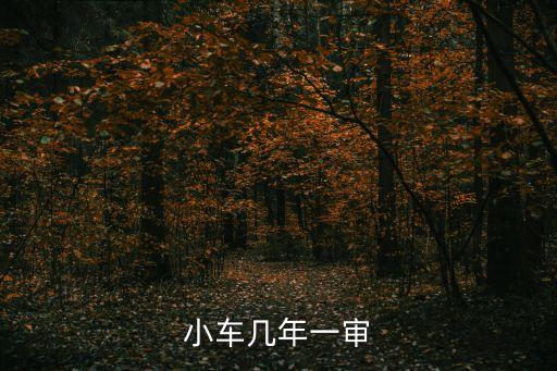 小車幾年一審