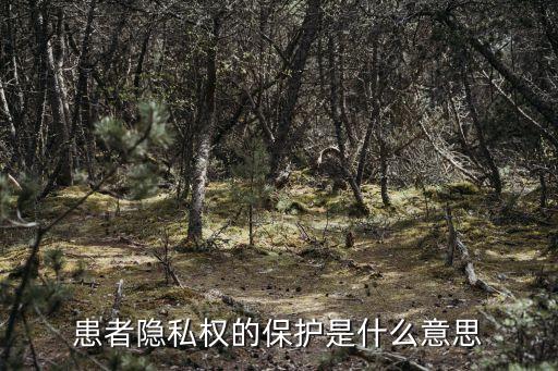 私權(quán)保護(hù)，私權(quán)在保障公民權(quán)利中的重要意義