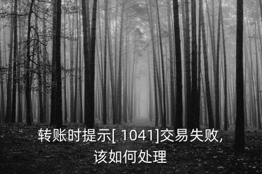 1041什么意思,銀行轉(zhuǎn)賬1041什么意思