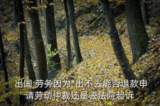  出國(guó) 勞務(wù)因?yàn)?出不去能否退款申請(qǐng)勞動(dòng)仲裁還是去法院起訴