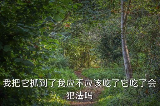 我把它抓到了我應(yīng)不應(yīng)該吃了它吃了會犯法嗎