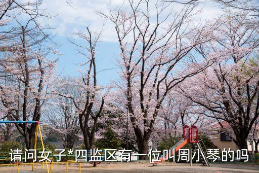 周小琴，用韓文表示周小琴應(yīng)該怎么寫