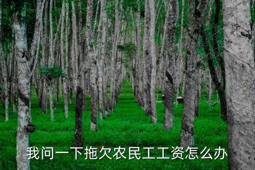 我問一下拖欠農(nóng)民工工資怎么辦