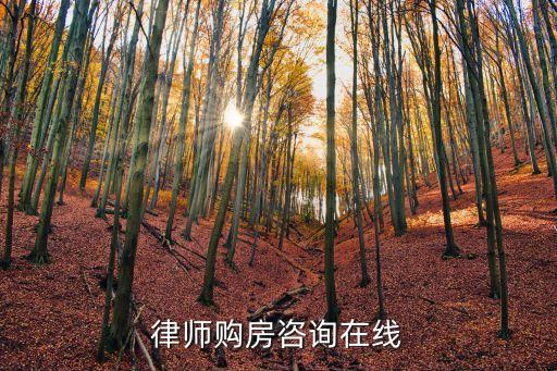 買房在線咨詢，哪個網(wǎng)站買房可以在線咨詢
