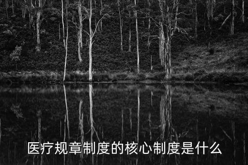 醫(yī)療規(guī)章制度的核心制度是什么