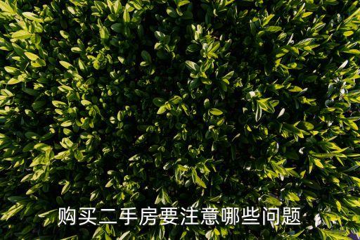 購買二手房注意事項(xiàng)，買二手房應(yīng)多注意哪些細(xì)節(jié)