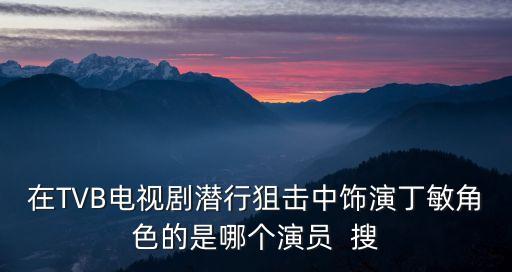 在TVB電視劇潛行狙擊中飾演丁敏角色的是哪個(gè)演員  搜