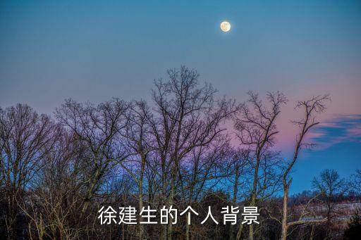 徐建生的個人背景
