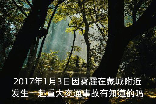2017年1月3日因霧霾在蒙城附近發(fā)生一起重大交通事故有知道的嗎
