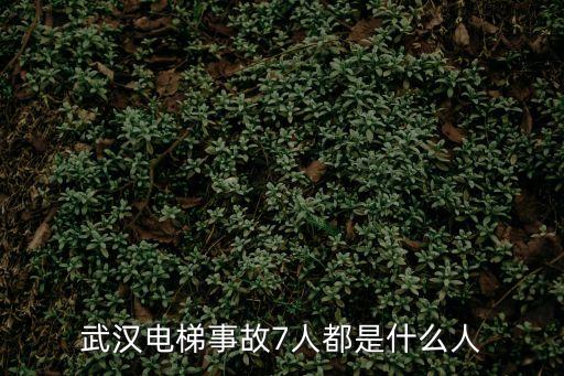 武漢事故，武漢913事故遇難人數(shù)到底是多少