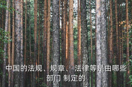 法律由誰制定,國(guó)家勛章和國(guó)家榮譽(yù)稱號(hào)法律由誰制定