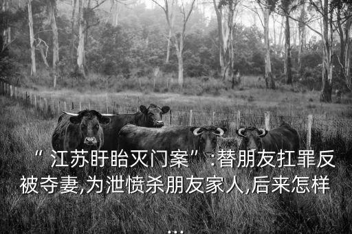 江蘇法網(wǎng),12348江蘇法網(wǎng)