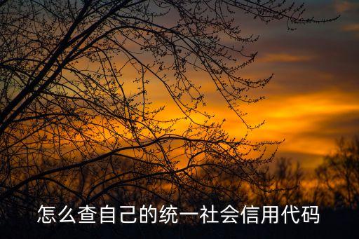 怎么查自己的統(tǒng)一社會(huì)信用代碼