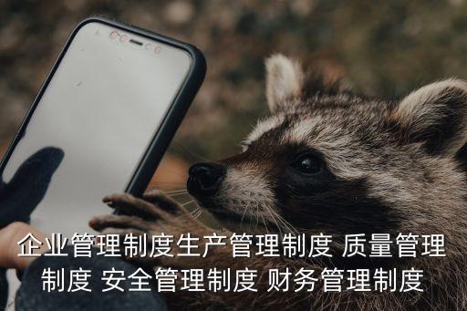 企業(yè)管理制度生產(chǎn)管理制度 質(zhì)量管理制度 安全管理制度 財務(wù)管理制度