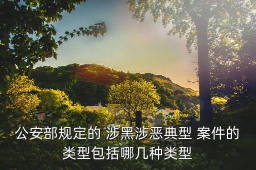 公安部規(guī)定的 涉黑涉惡典型 案件的類型包括哪幾種類型