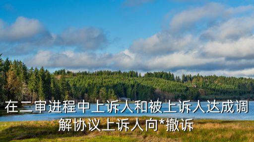 上訴人，在二審進(jìn)程中上訴人和被上訴人達(dá)成調(diào)解協(xié)議上訴人向*撤訴