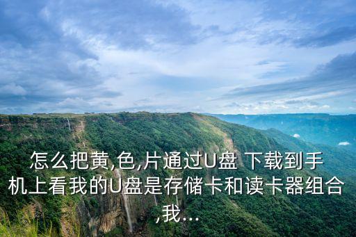 怎么把黃,色,片通過U盤 下載到手機(jī)上看我的U盤是存儲(chǔ)卡和讀卡器組合,我...