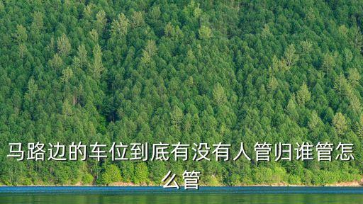 馬路邊的車位到底有沒有人管歸誰(shuí)管怎么管