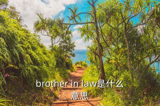 姐夫3，網(wǎng)絡(luò)新名詞姐夫
