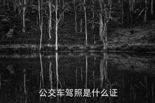 城市公交車需要什么駕駛證,c1增駕a3需要多少錢