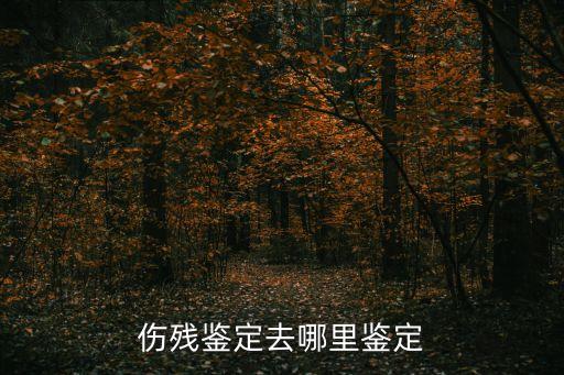 傷殘鑒定機(jī)構(gòu)，哪里能做傷殘鑒定
