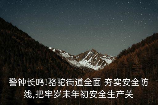 夯實(shí)責(zé)任,加強(qiáng)領(lǐng)導(dǎo),夯實(shí)責(zé)任