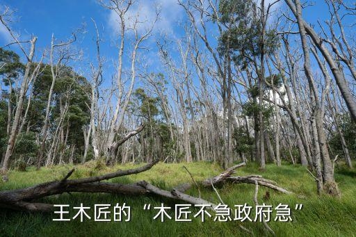 王細(xì)牛