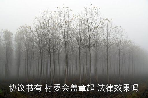 村委會(huì)合同的法律效力有哪些,合同要具有法律效力應(yīng)具備哪些條件