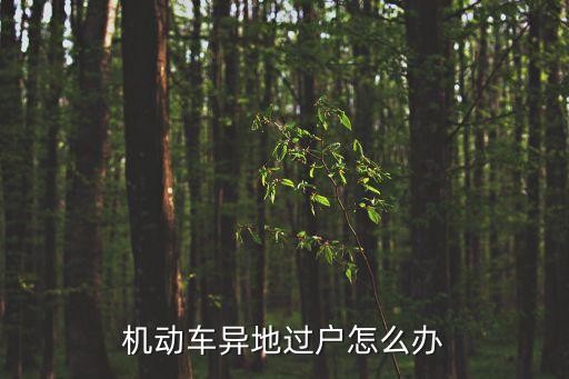 機(jī)動(dòng)車(chē)異地過(guò)戶怎么辦