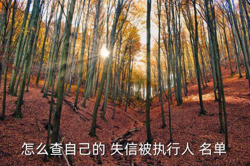 失信者名單,蒼溪縣人民*失信者名單