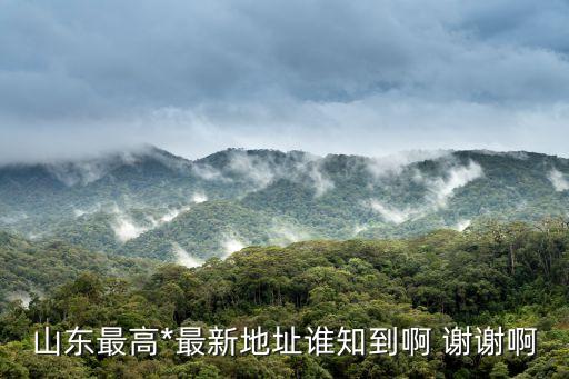 山東高院官網(wǎng)，山東最高*最新地址誰(shuí)知到啊 謝謝啊