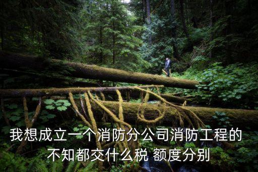我想成立一個消防分公司消防工程的 不知都交什么稅 額度分別
