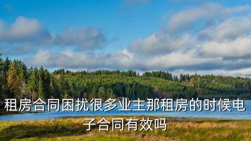 租房合同困擾很多業(yè)主那租房的時(shí)候電子合同有效嗎