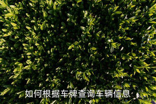 如何根據車牌查詢車輛信息