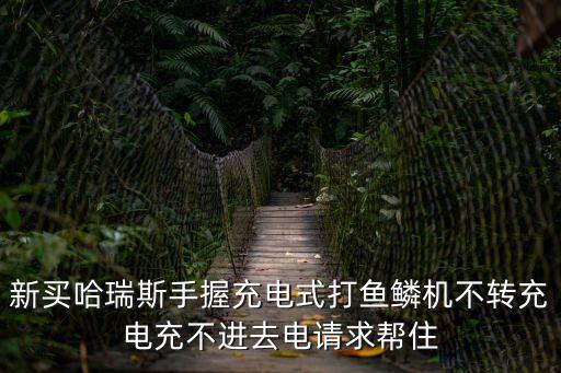 打魚(yú)鱗機(jī)，魚(yú)兒機(jī)怎么打才能贏錢(qián)