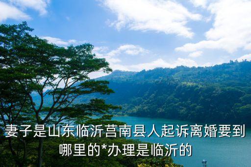 妻子是山東臨沂莒南縣人起訴離婚要到哪里的*辦理是臨沂的