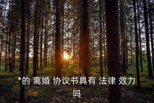 *的 離婚 協(xié)議書(shū)具有 法律 效力嗎
