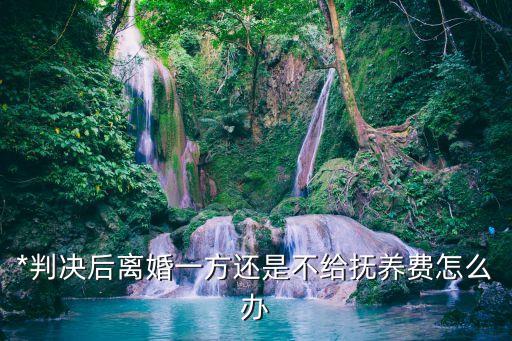 撫養(yǎng)費(fèi)不給怎么辦，不給撫養(yǎng)費(fèi)怎么辦
