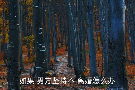 如果 男方堅(jiān)持不 離婚怎么辦