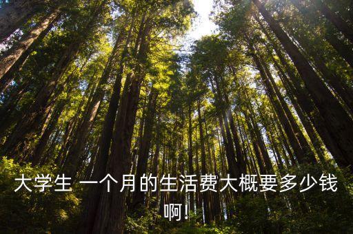一個月多少錢