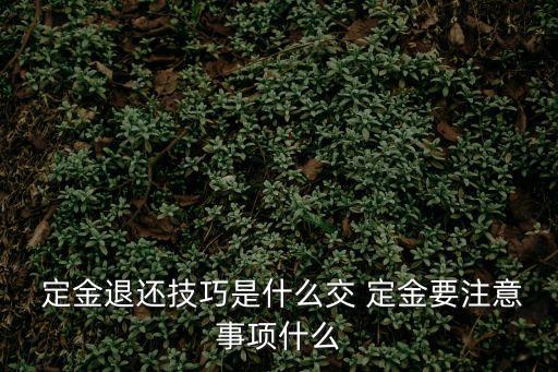 房地產(chǎn)退定金技巧,去售樓處退定金技巧