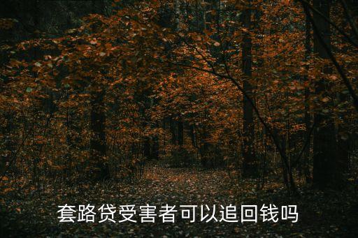 套路貸受害者可以追回錢嗎