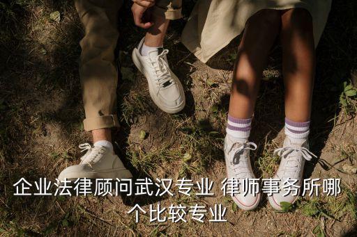 企業(yè)法律顧問武漢專業(yè) 律師事務(wù)所哪個(gè)比較專業(yè)