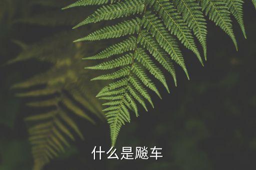 飆車是什么意思，飆車什么意思