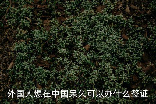 中國簽證，外國人可以通過哪些途徑申請中國簽證