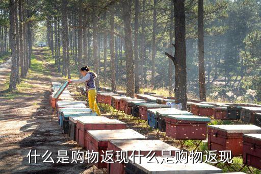 什么是購物返現(xiàn)什么是購物返現(xiàn)