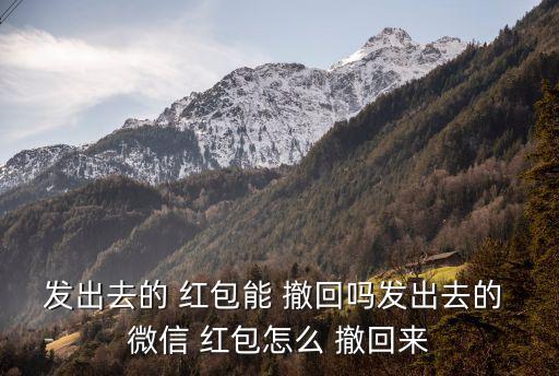 微信紅包撤回方法,口令紅包怎么追回